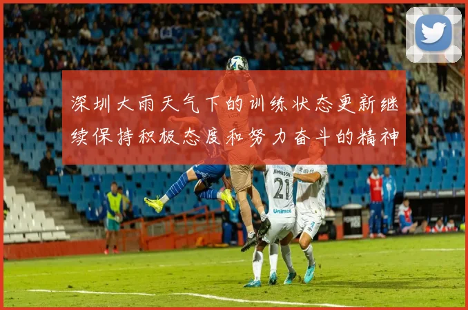 深圳大雨天气下的训练状态更新继续保持积极态度和努力奋斗的精神